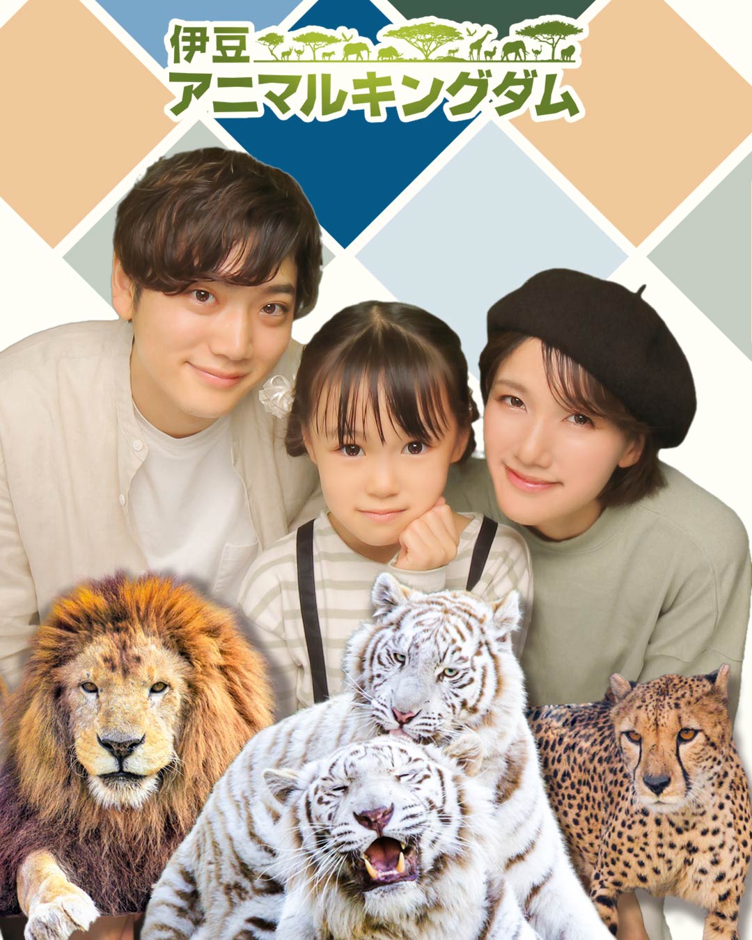 アニマル・キングダム [DVD] tf8su2k Amazon.co.jp: アニマル・キングダム [DVD] : ジェームズ・フレッシュ